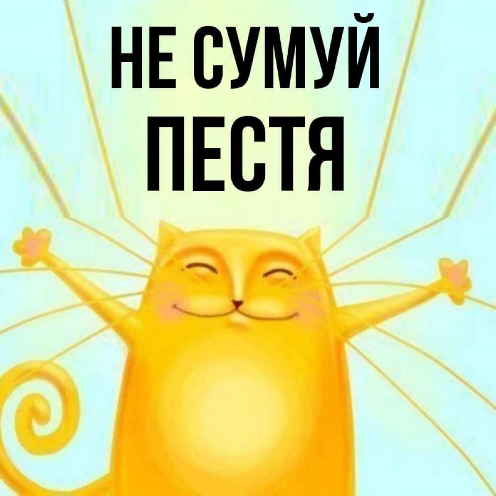 Открытка на каждый день з підписом, Пестя Не сумуй обнимашки усатые Прикольна листівка з побажанням онлайн скачати безкоштовно 