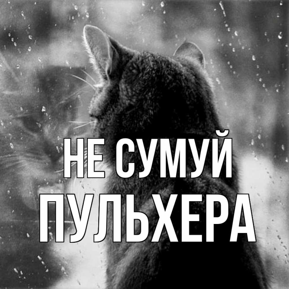 Открытка на каждый день з підписом, Пульхера Не сумуй отражение кота 1 Прикольна листівка з побажанням онлайн скачати безкоштовно 