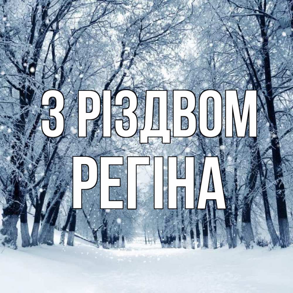 Открытка на каждый день з підписом, Регіна З Різдвом снег, лес, парк Прикольна листівка з побажанням онлайн скачати безкоштовно 