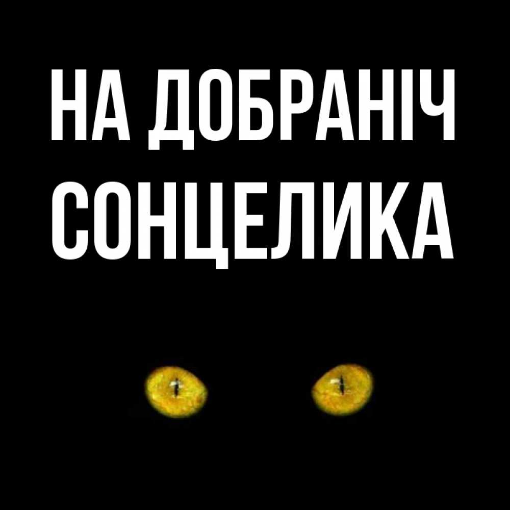 Открытка на каждый день з підписом, Сонцелика На добраніч сладких снов бесстрашный мой дружочек Прикольна листівка з побажанням онлайн скачати безкоштовно 