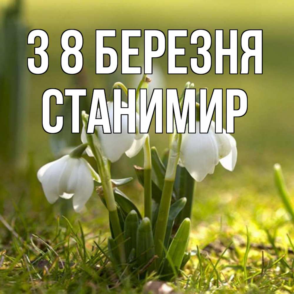 Открытка на каждый день з підписом, Станимир З 8 БЕРЕЗНЯ ранние цветы 2 Прикольна листівка з побажанням онлайн скачати безкоштовно 