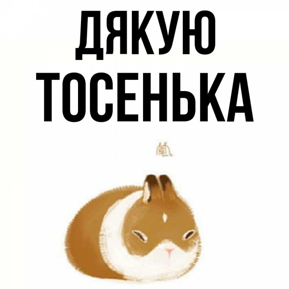 Открытка на каждый день з підписом, Тосенька Дякую коричнево белый домашний питомец Прикольна листівка з побажанням онлайн скачати безкоштовно 