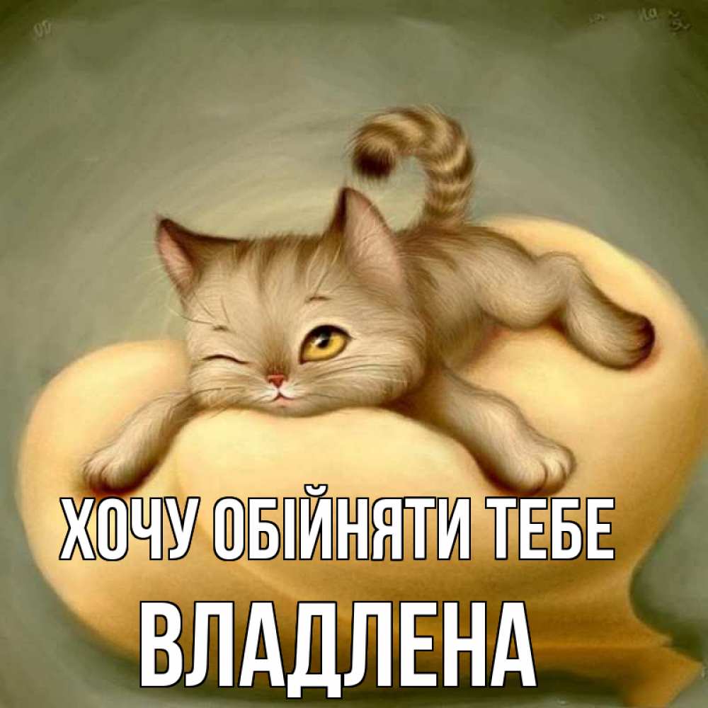 Открытка на каждый день з підписом, Владлена Хочу обійняти тебе кошечка Прикольна листівка з побажанням онлайн скачати безкоштовно 