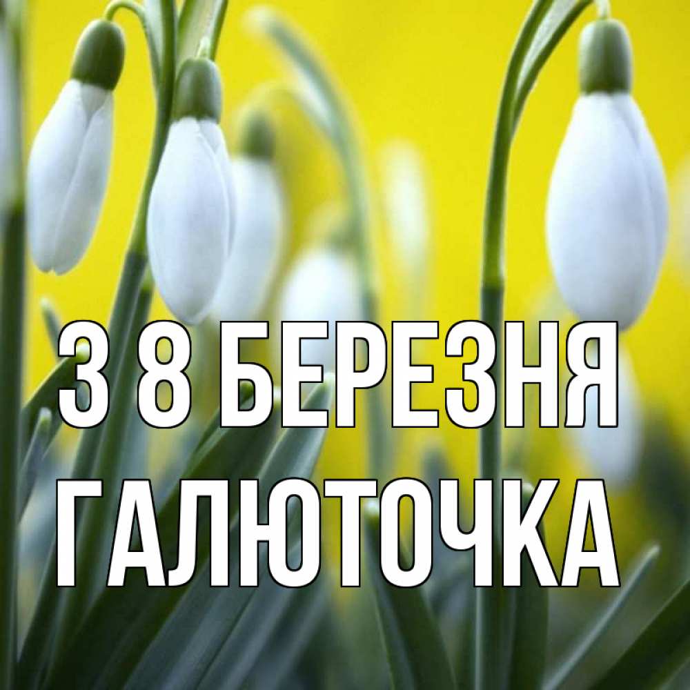 Открытка на каждый день з підписом, Галюточка З 8 БЕРЕЗНЯ весенние цветы Прикольна листівка з побажанням онлайн скачати безкоштовно 