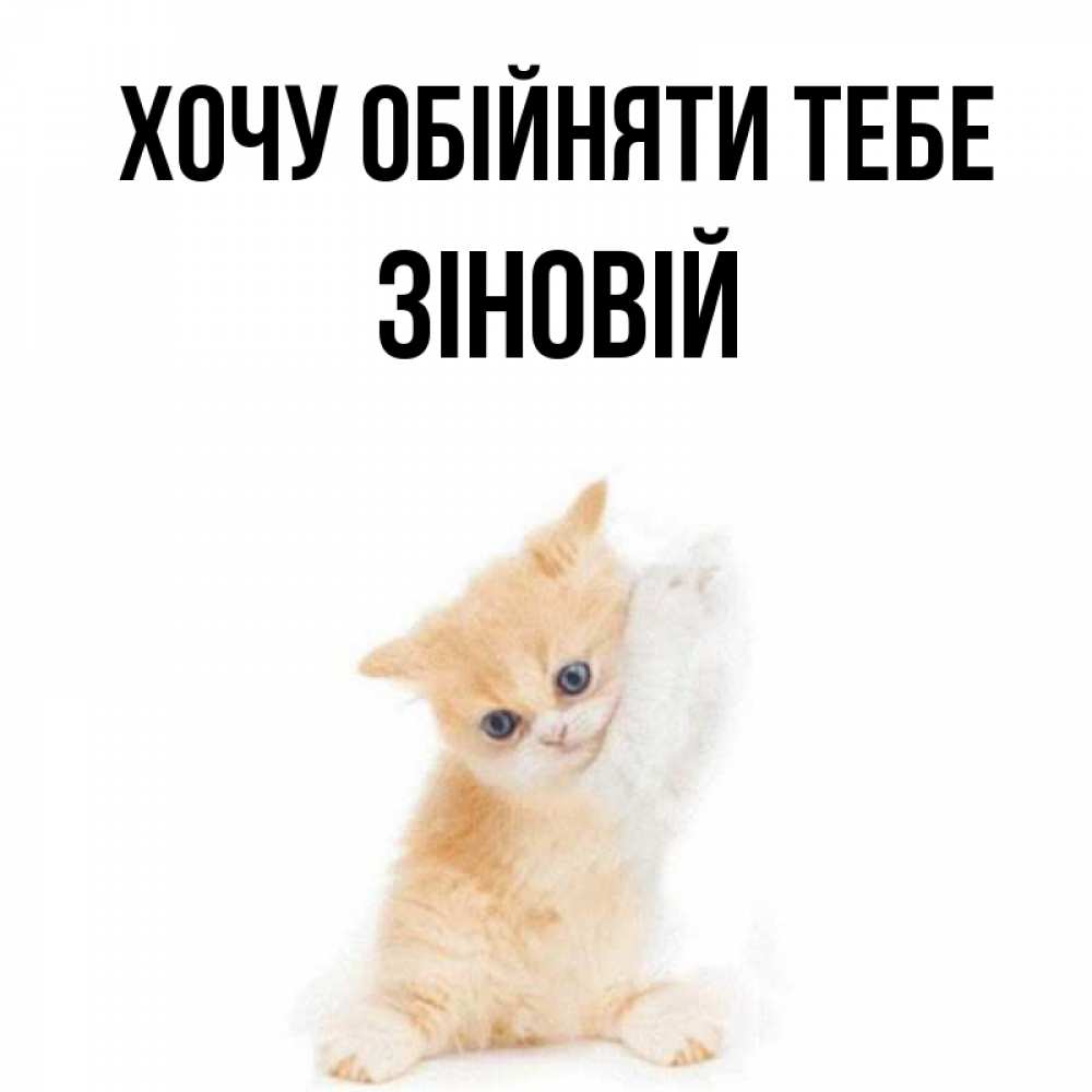 Открытка на каждый день з підписом, Зіновій Хочу обійняти тебе я хочу очень скорее обнимаешек Прикольна листівка з побажанням онлайн скачати безкоштовно 