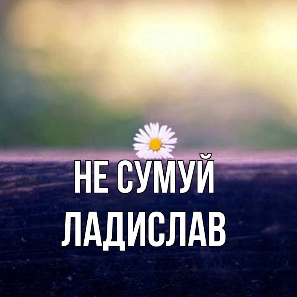 Открытка на каждый день з підписом, Ладислав Не сумуй красота Прикольна листівка з побажанням онлайн скачати безкоштовно 