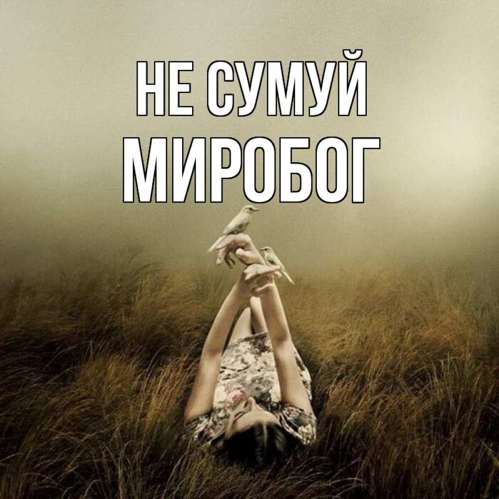 Открытка на каждый день з підписом, Миробог Не сумуй поле и туман Прикольна листівка з побажанням онлайн скачати безкоштовно 