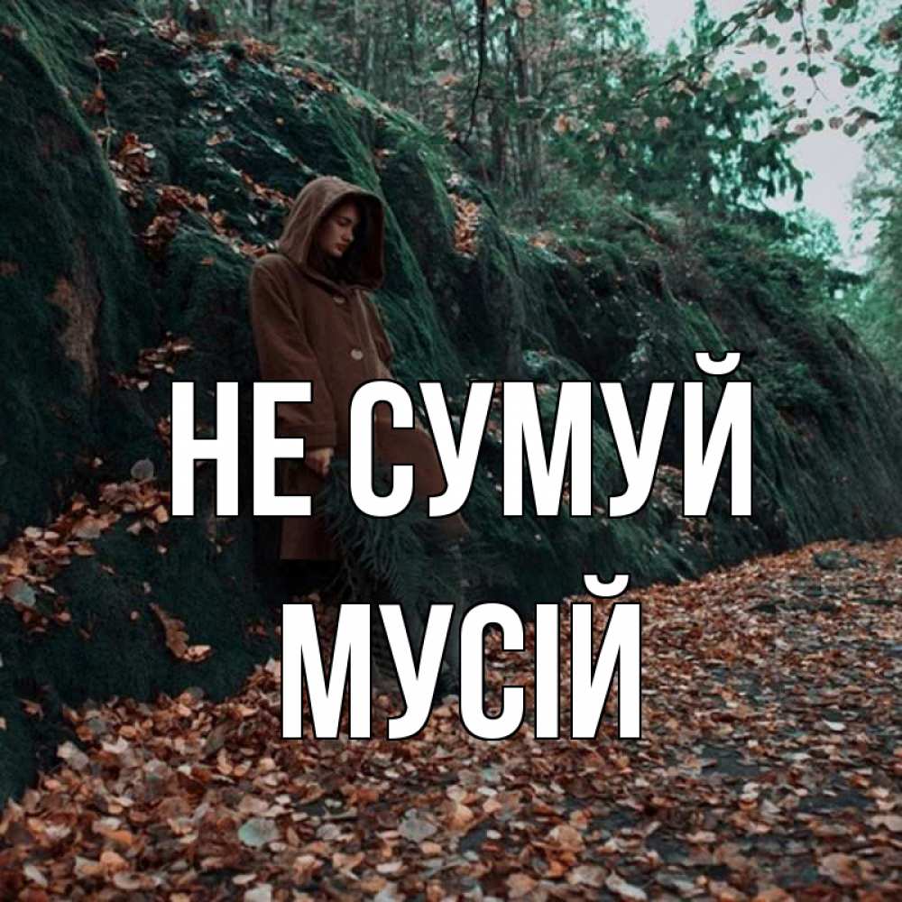 Открытка на каждый день з підписом, Мусій Не сумуй осенний лес Прикольна листівка з побажанням онлайн скачати безкоштовно 