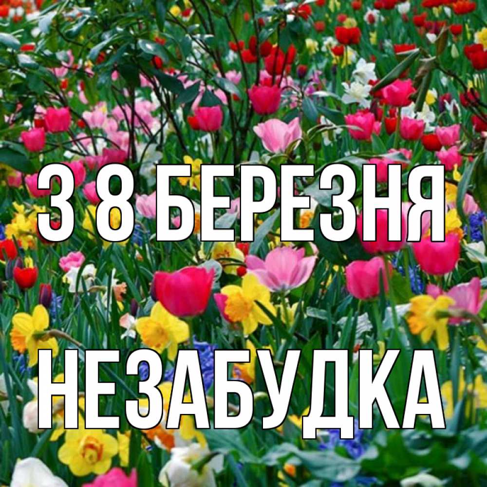 Открытка на каждый день з підписом, Незабудка З 8 БЕРЕЗНЯ с международным женским днем поздравления для женщины Прикольна листівка з побажанням онлайн скачати безкоштовно 