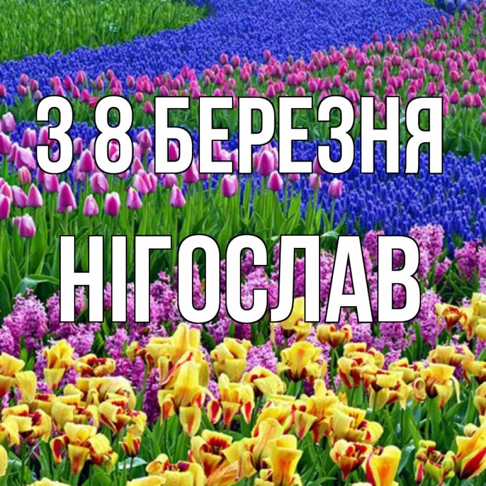 Открытка на каждый день з підписом, Нігослав З 8 БЕРЕЗНЯ цветы Прикольна листівка з побажанням онлайн скачати безкоштовно 