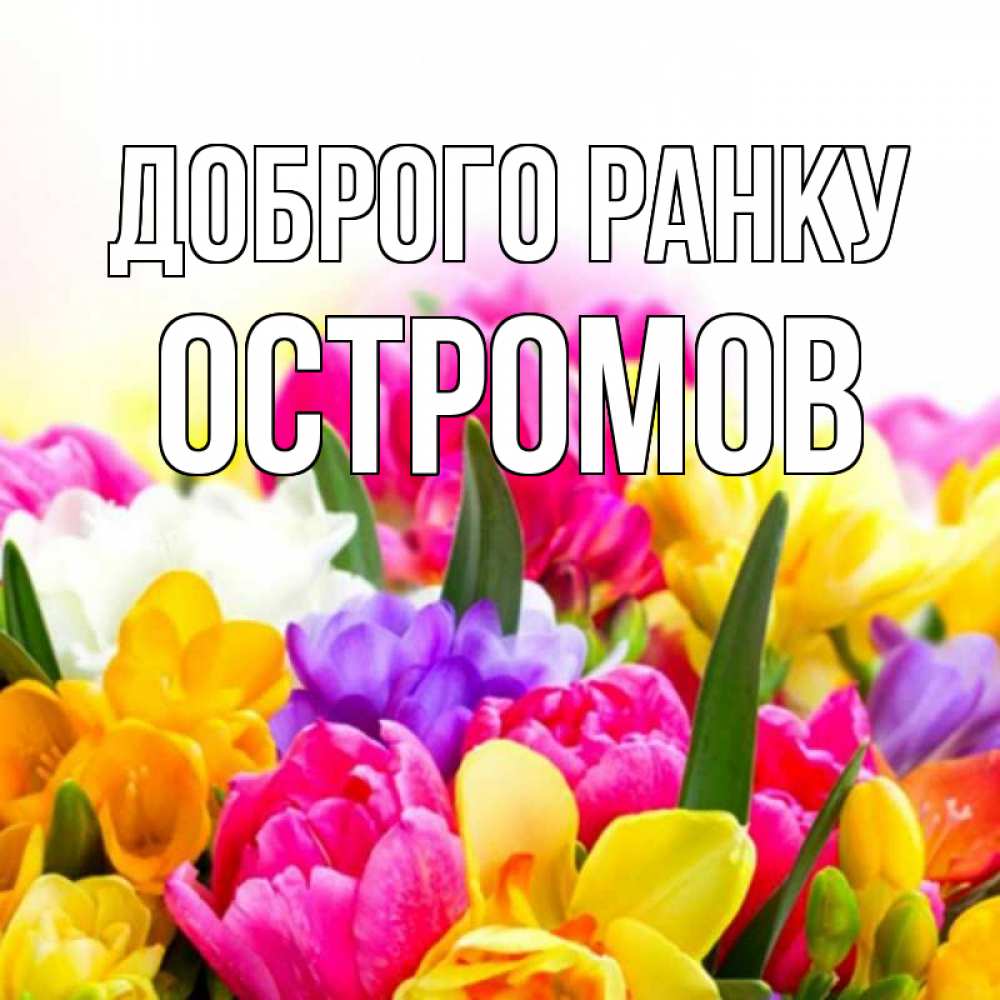 Открытка на каждый день з підписом, Остромов Доброго ранку создать открытку со свое подписью Прикольна листівка з побажанням онлайн скачати безкоштовно 