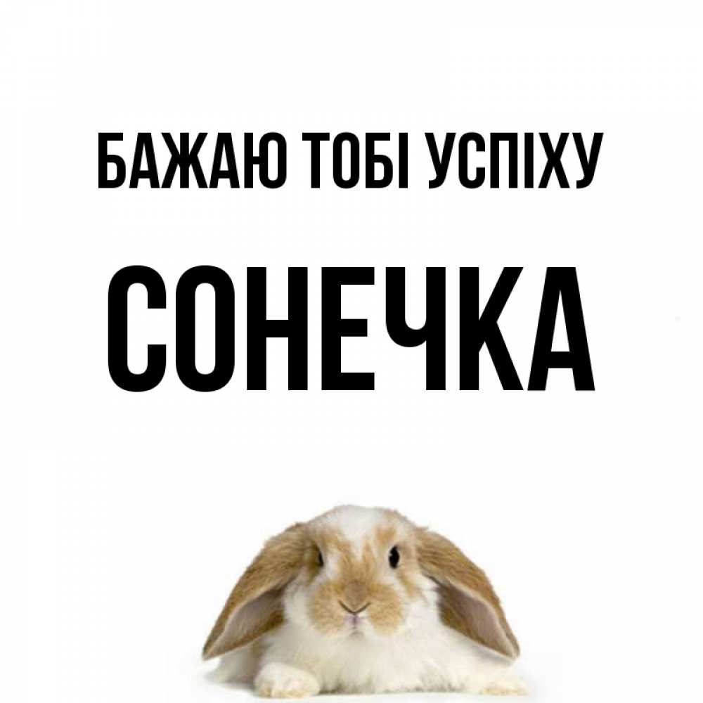 Открытка на каждый день з підписом, Сонечка Бажаю тобі успіху открытки с произвольным текстом который можно вставить в открытку и создать ее самостоятельно бесплатно онлайн Прикольна листівка з побажанням онлайн скачати безкоштовно 