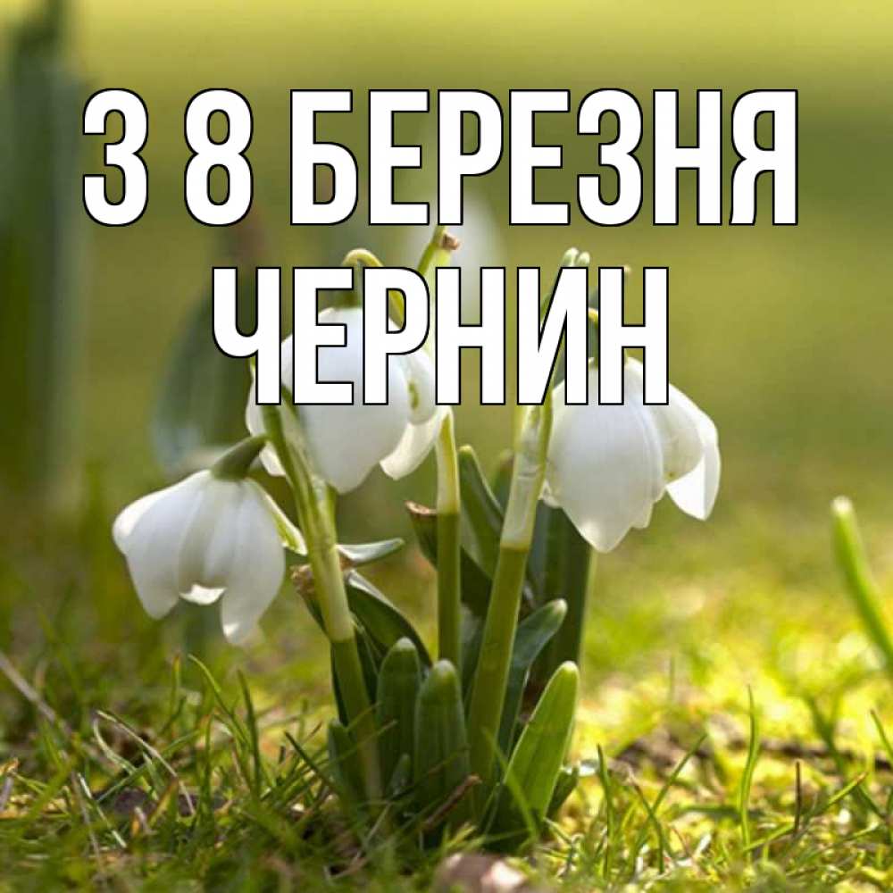 Открытка на каждый день з підписом, Чернин З 8 БЕРЕЗНЯ ранние цветы 2 Прикольна листівка з побажанням онлайн скачати безкоштовно 