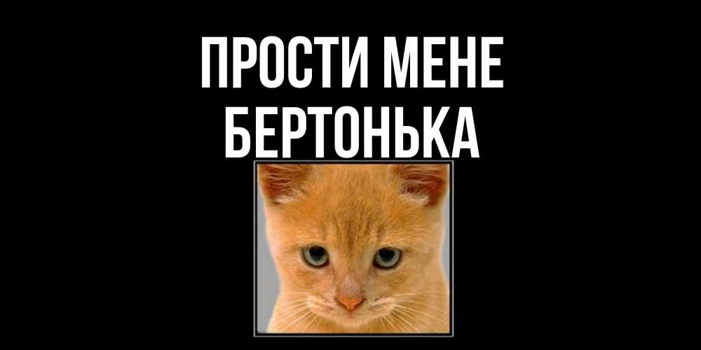 Открытка на каждый день з підписом, Бертонька Прости мене рыжий грустный кот просит прощения Прикольна листівка з побажанням онлайн скачати безкоштовно 