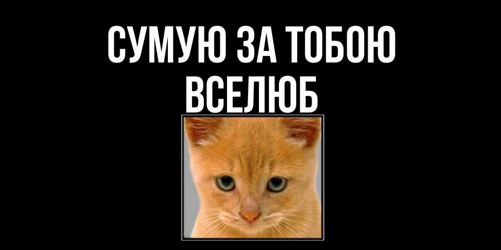 Открытка на каждый день з підписом, Вселюб Сумую за тобою открытки рыжий котенок скучает по тебе Прикольна листівка з побажанням онлайн скачати безкоштовно 