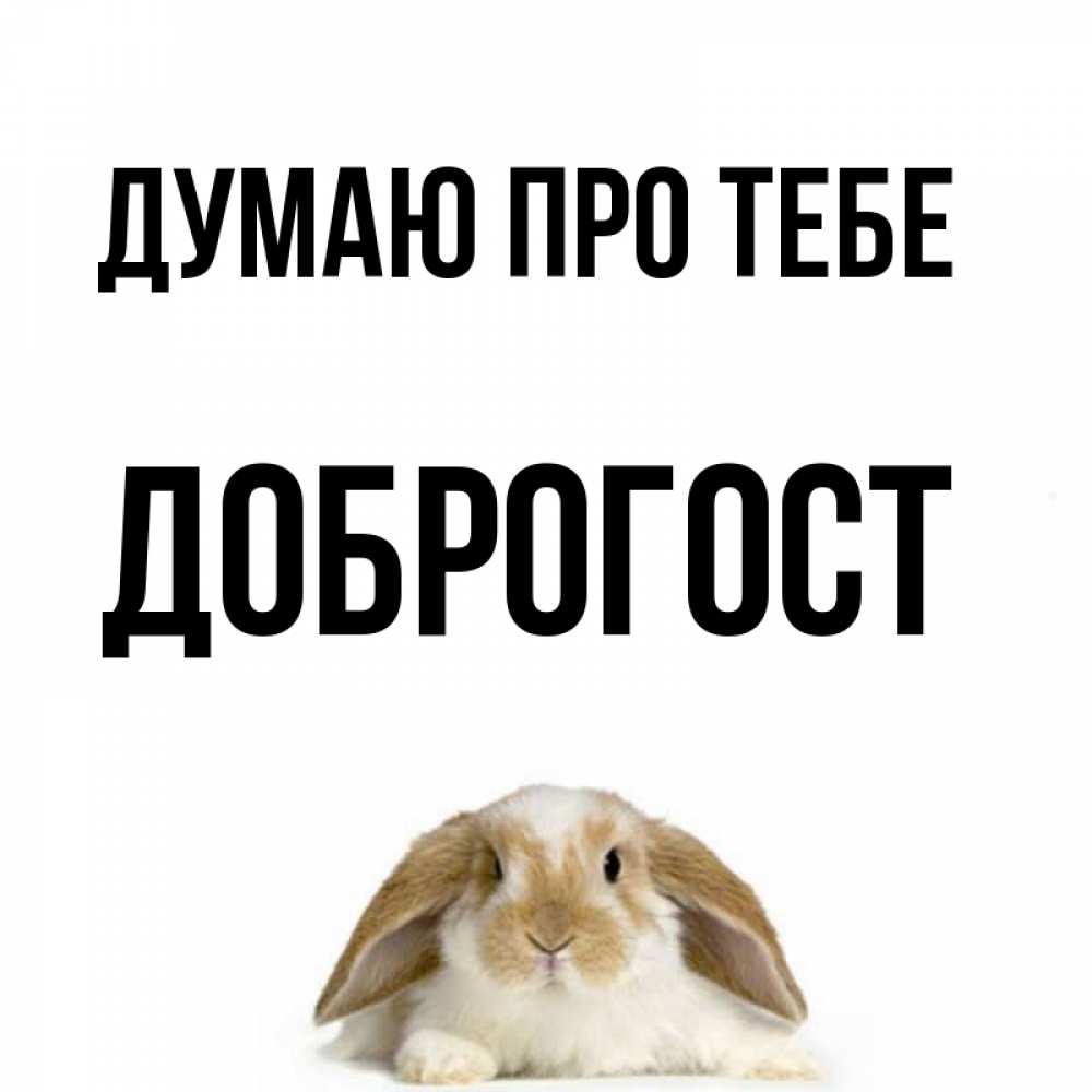 Открытка на каждый день з підписом, Доброгост Думаю про тебе подписать своими руками онлайн Прикольна листівка з побажанням онлайн скачати безкоштовно 