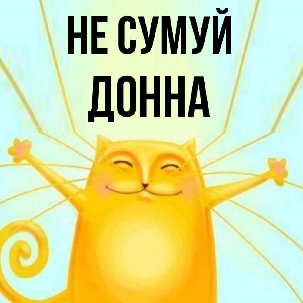 Открытка на каждый день з підписом, Донна Не сумуй обнимашки усатые Прикольна листівка з побажанням онлайн скачати безкоштовно 