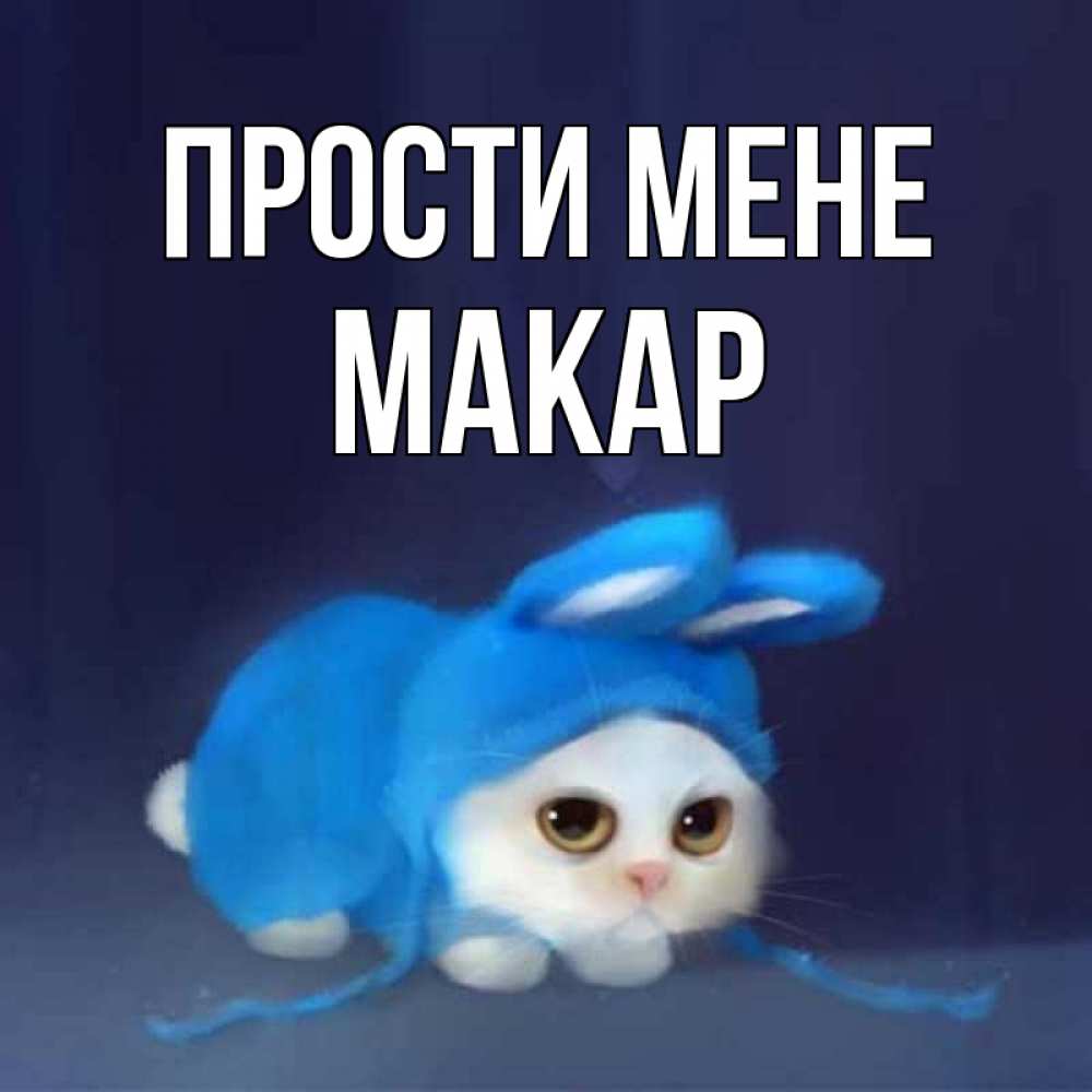Открытка на каждый день з підписом, Макар Прости мене невинный котозай просит прощения Прикольна листівка з побажанням онлайн скачати безкоштовно 