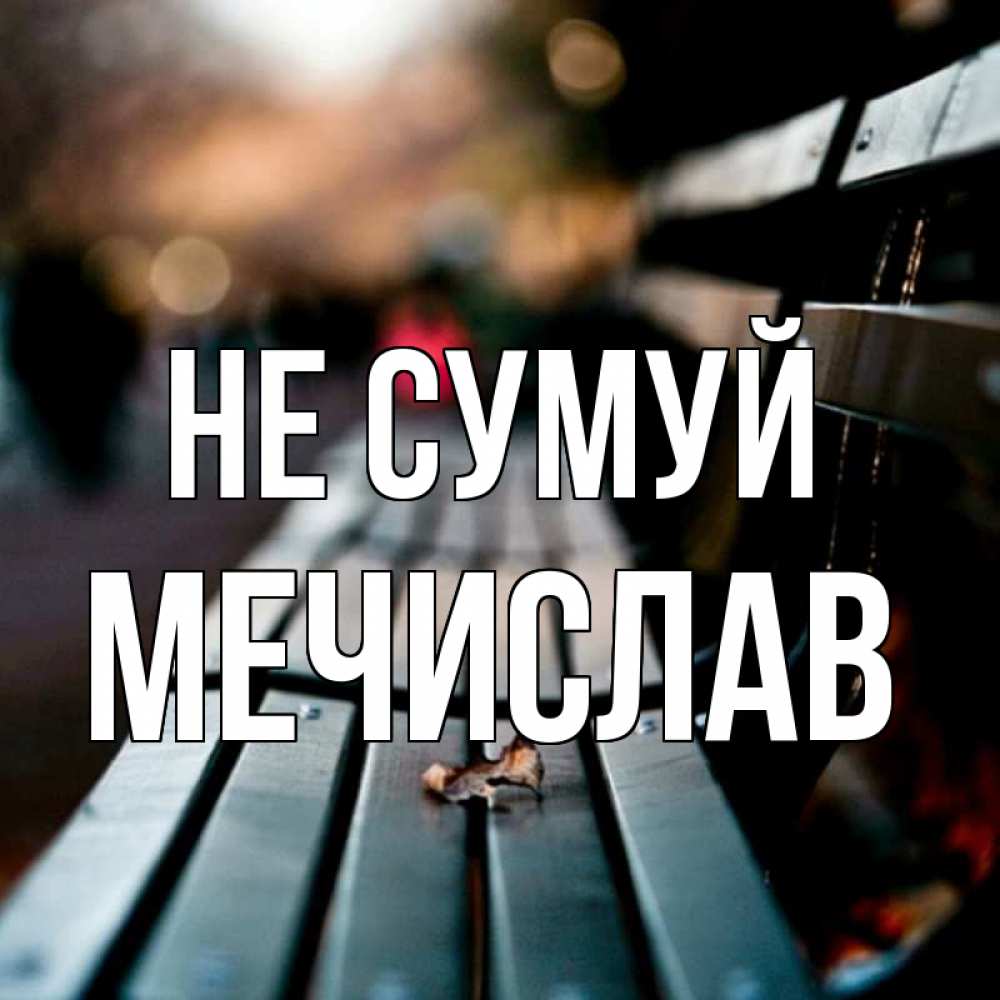Открытка на каждый день з підписом, Мечислав Не сумуй размытый фон Прикольна листівка з побажанням онлайн скачати безкоштовно 