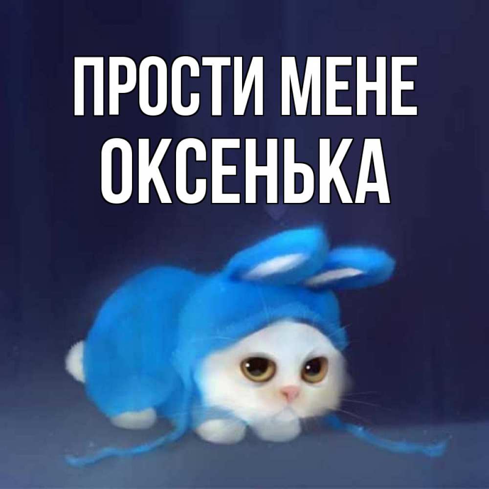 Открытка на каждый день з підписом, Оксенька Прости мене невинный котозай просит прощения Прикольна листівка з побажанням онлайн скачати безкоштовно 