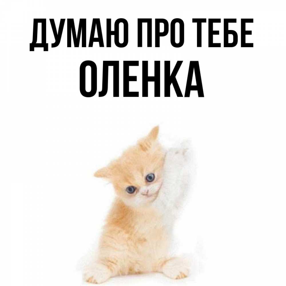 Открытка на каждый день з підписом, Оленка Думаю про тебе зверушки и милота Прикольна листівка з побажанням онлайн скачати безкоштовно 