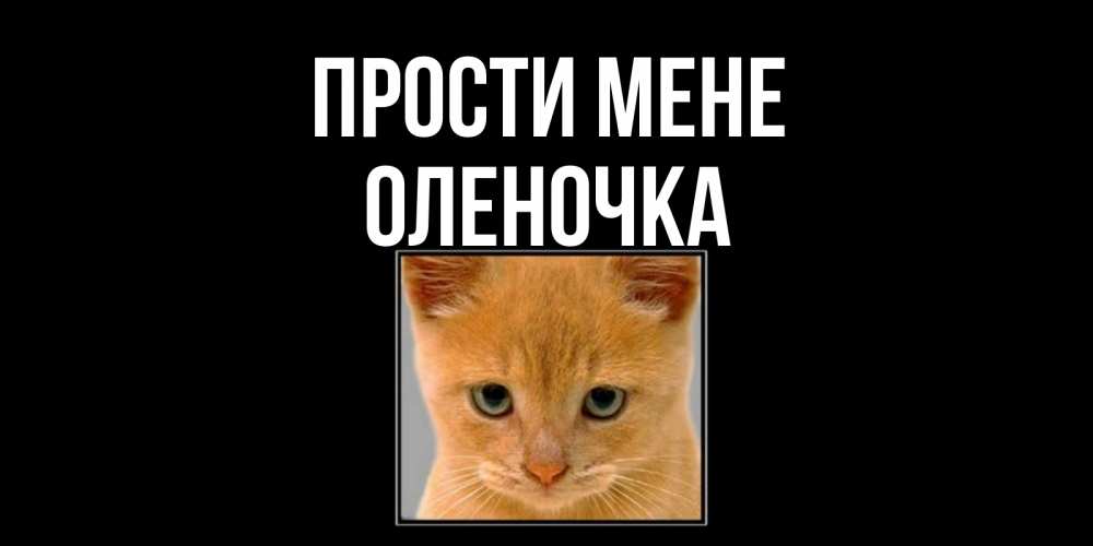Открытка на каждый день з підписом, Оленочка Прости мене рыжий грустный кот просит прощения Прикольна листівка з побажанням онлайн скачати безкоштовно 