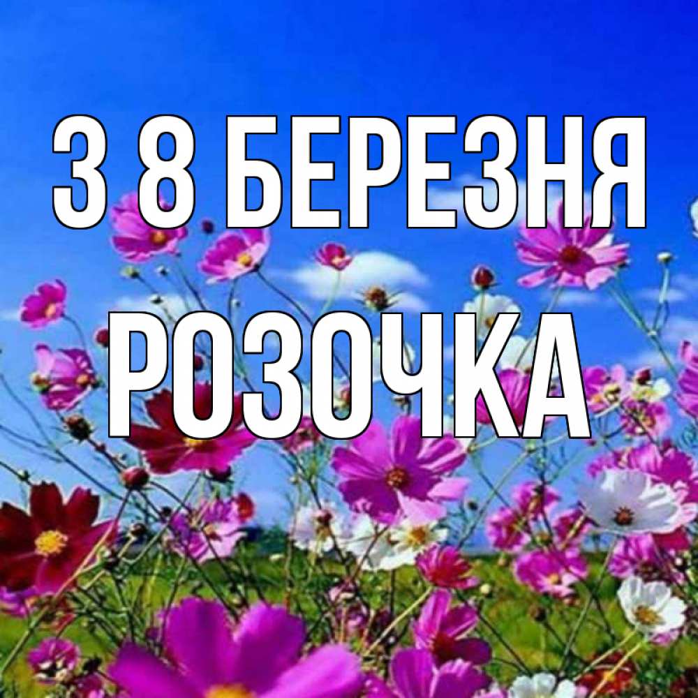 Открытка на каждый день з підписом, Розочка З 8 БЕРЕЗНЯ цветы Прикольна листівка з побажанням онлайн скачати безкоштовно 