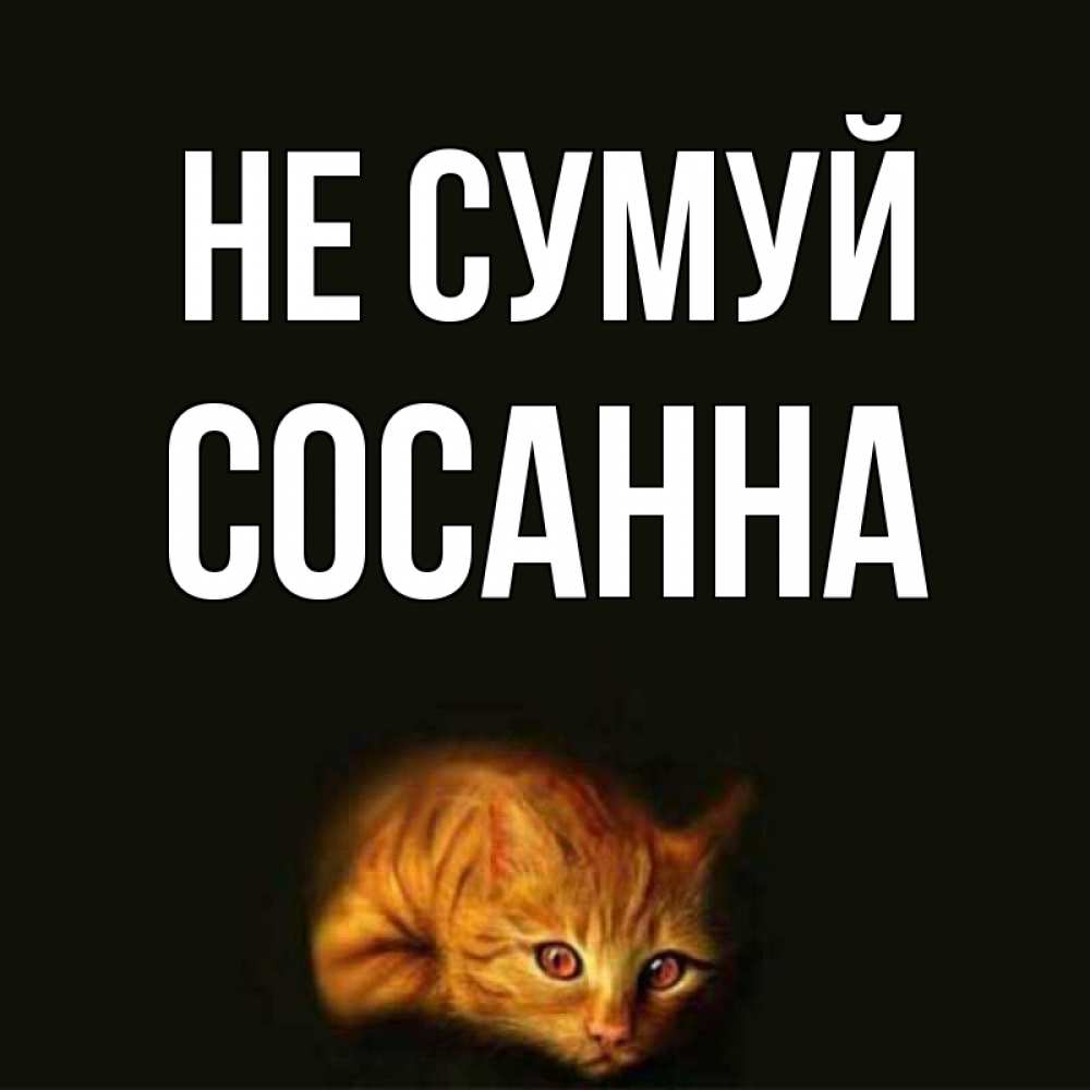 Открытка на каждый день з підписом, Сосанна Не сумуй лежащий кот в темноте Прикольна листівка з побажанням онлайн скачати безкоштовно 