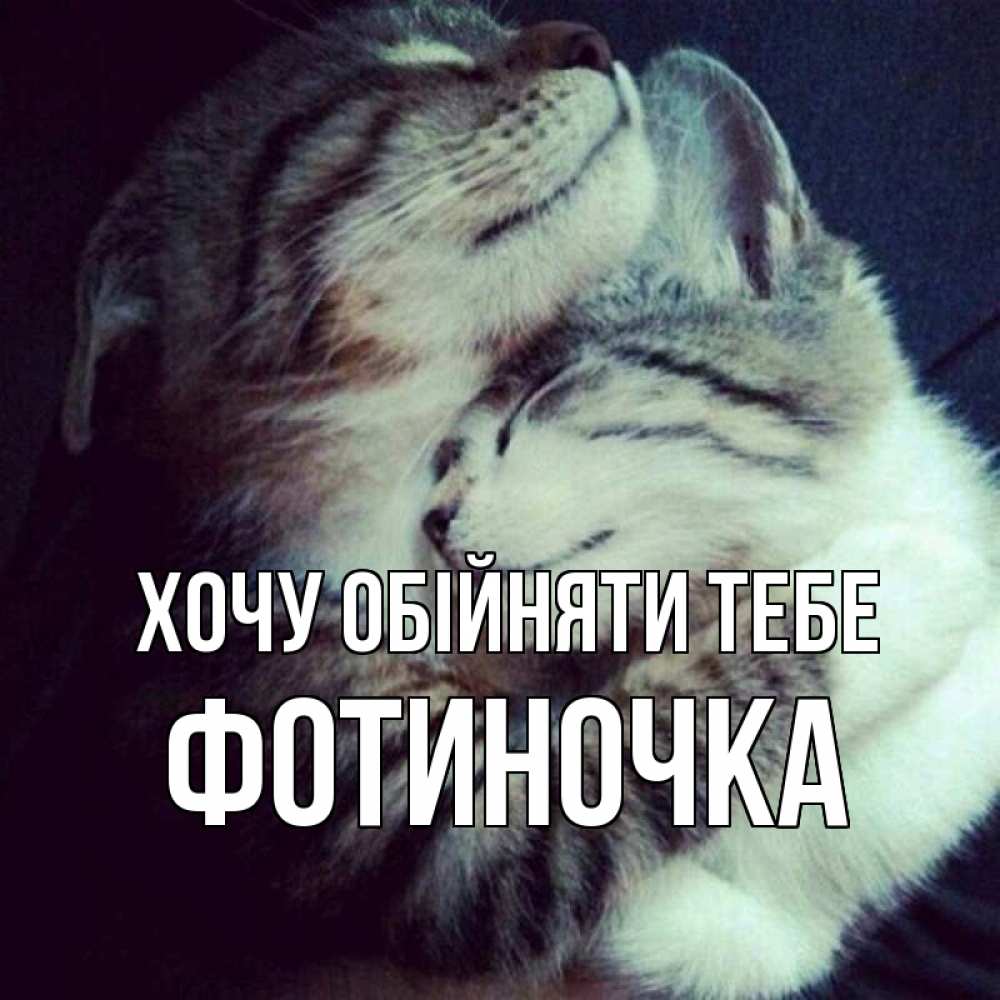 Открытка на каждый день з підписом, Фотиночка Хочу обійняти тебе полосатики Прикольна листівка з побажанням онлайн скачати безкоштовно 