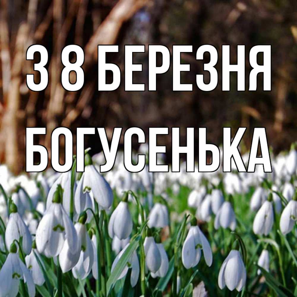 Открытка на каждый день з підписом, Богусенька З 8 БЕРЕЗНЯ с подснежниками 1 Прикольна листівка з побажанням онлайн скачати безкоштовно 