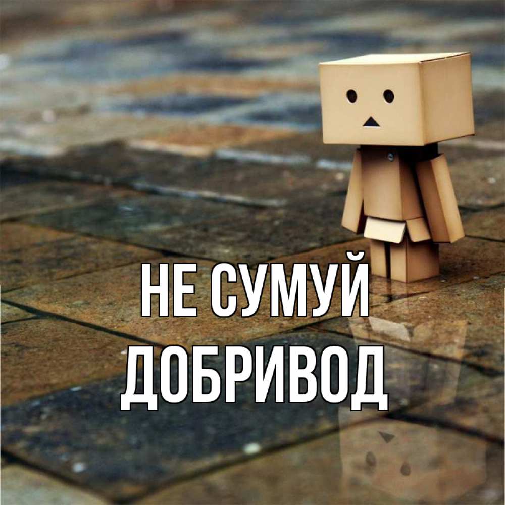 Открытка на каждый день з підписом, Добривод Не сумуй Стив Прикольна листівка з побажанням онлайн скачати безкоштовно 