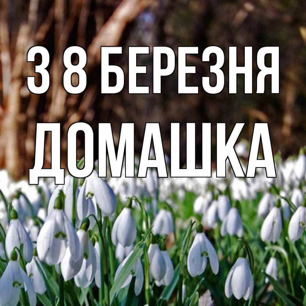 Открытка на каждый день з підписом, Домашка З 8 БЕРЕЗНЯ с подснежниками 1 Прикольна листівка з побажанням онлайн скачати безкоштовно 