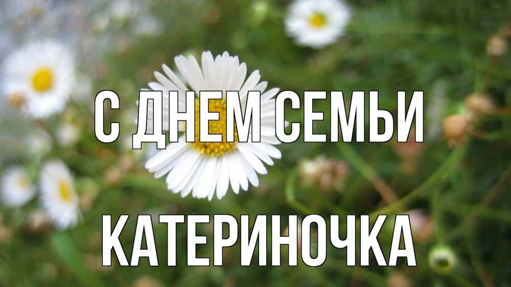 Открытка на каждый день з підписом, Катериночка С днем семьи с днем семьи Прикольна листівка з побажанням онлайн скачати безкоштовно 
