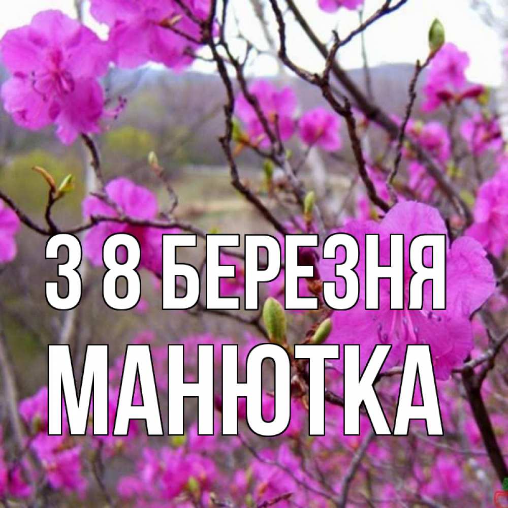 Открытка на каждый день з підписом, Манютка З 8 БЕРЕЗНЯ международный женский день Прикольна листівка з побажанням онлайн скачати безкоштовно 