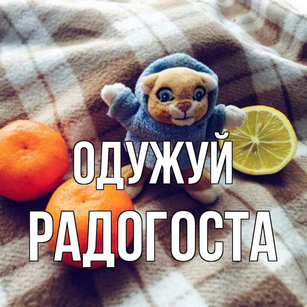 Открытка на каждый день з підписом, Радогоста Одужуй вот тебе апельсинка и лимон Прикольна листівка з побажанням онлайн скачати безкоштовно 