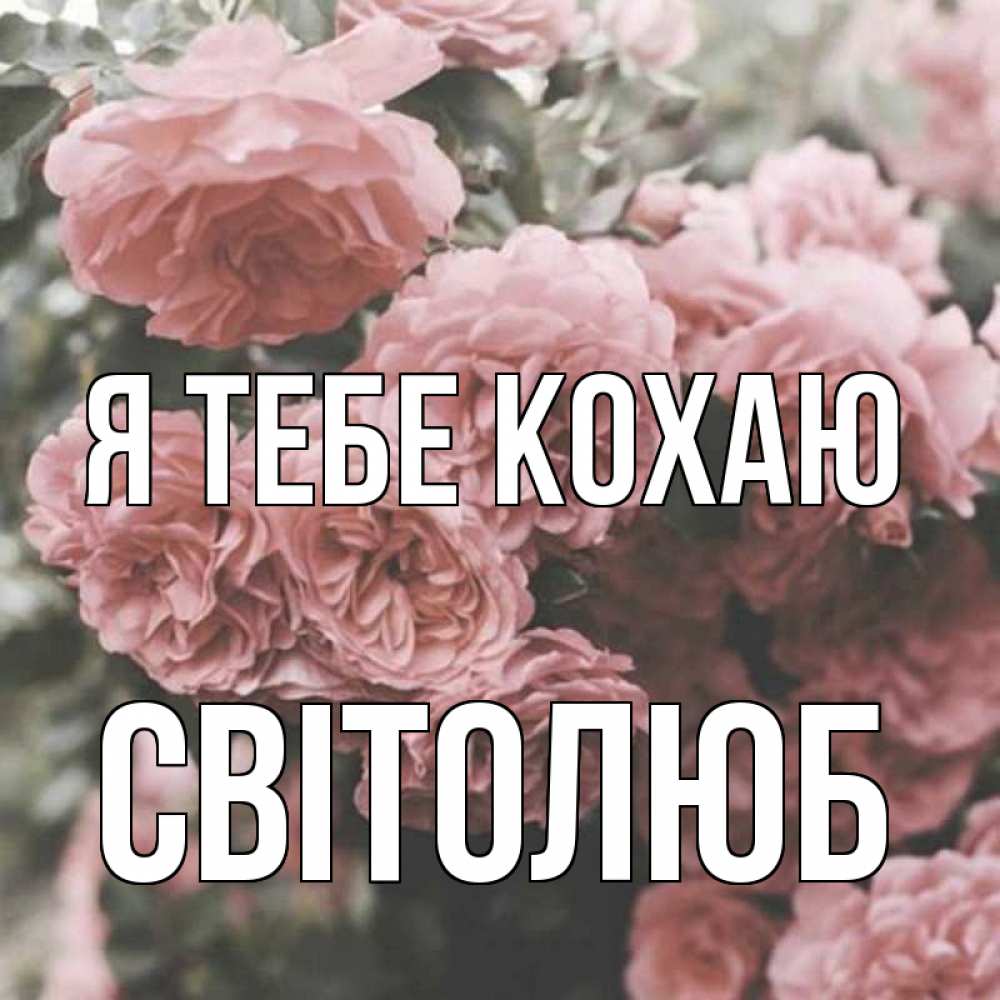 Открытка на каждый день з підписом, Світолюб Я тебе кохаю розы 3 Прикольна листівка з побажанням онлайн скачати безкоштовно 