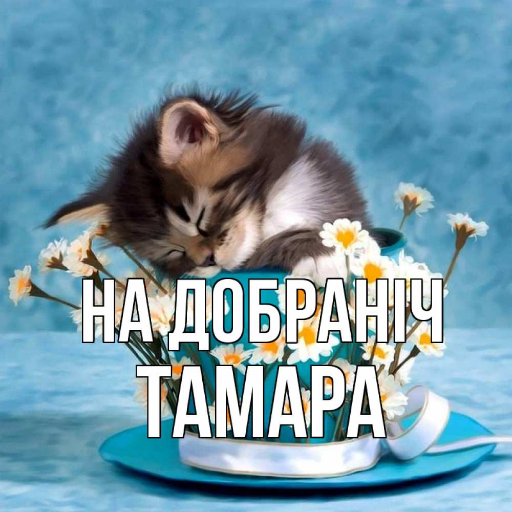 Открытка на каждый день з підписом, Тамара На добраніч котенок спит в кружке с блюдцем Прикольна листівка з побажанням онлайн скачати безкоштовно 
