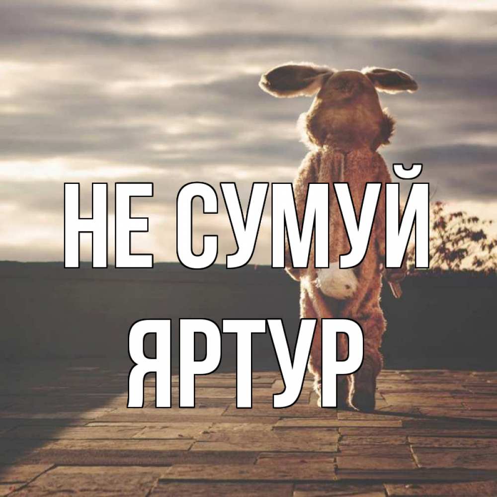 Открытка на каждый день з підписом, Яртур Не сумуй со спины Прикольна листівка з побажанням онлайн скачати безкоштовно 