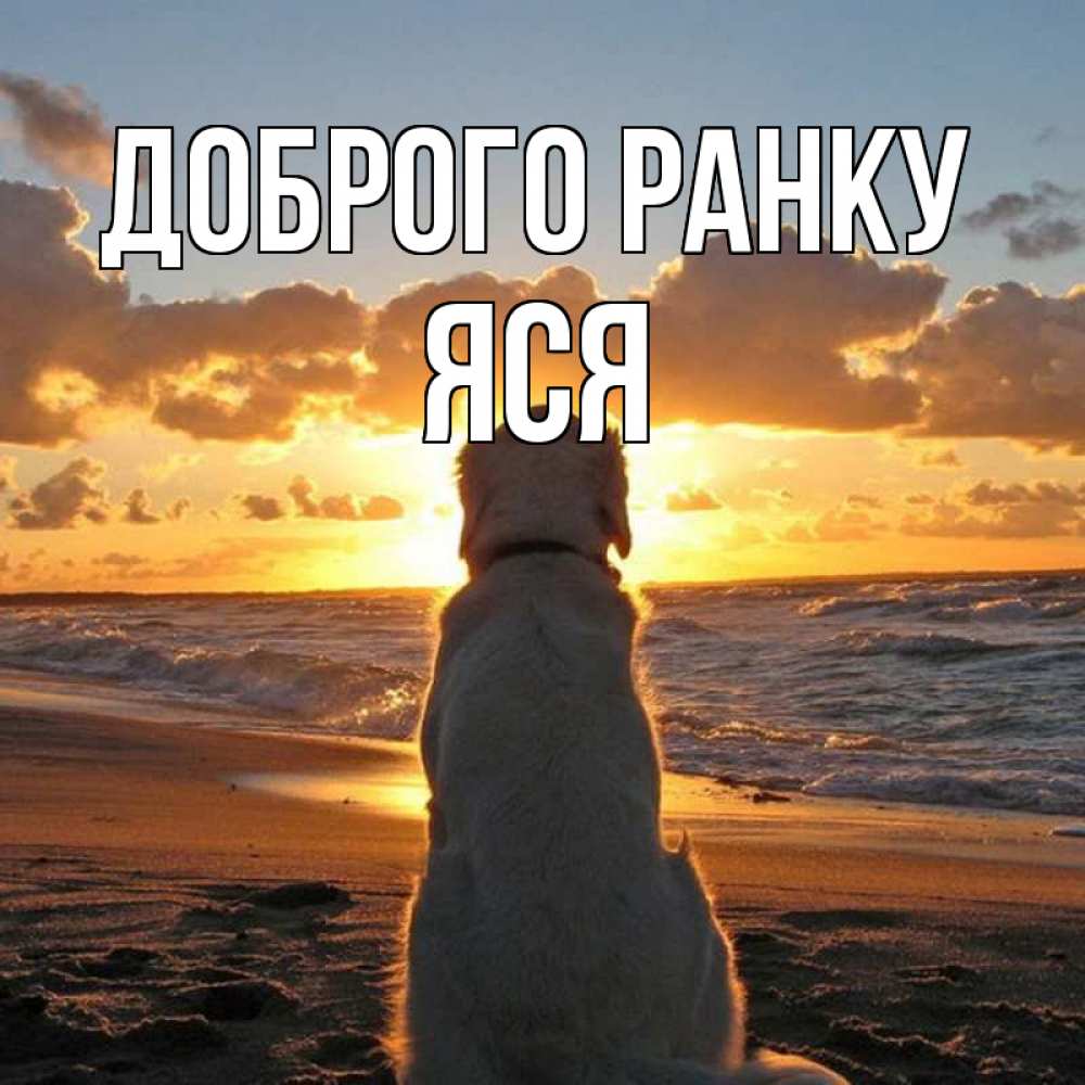 Открытка на каждый день з підписом, Яся Доброго ранку восход солнца Прикольна листівка з побажанням онлайн скачати безкоштовно 