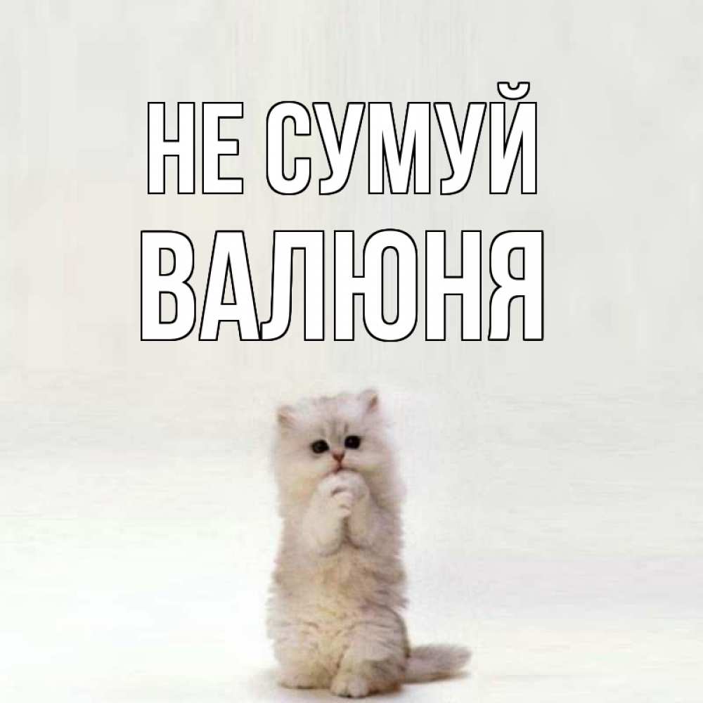 Открытка на каждый день з підписом, Валюня Не сумуй грустный кот Прикольна листівка з побажанням онлайн скачати безкоштовно 