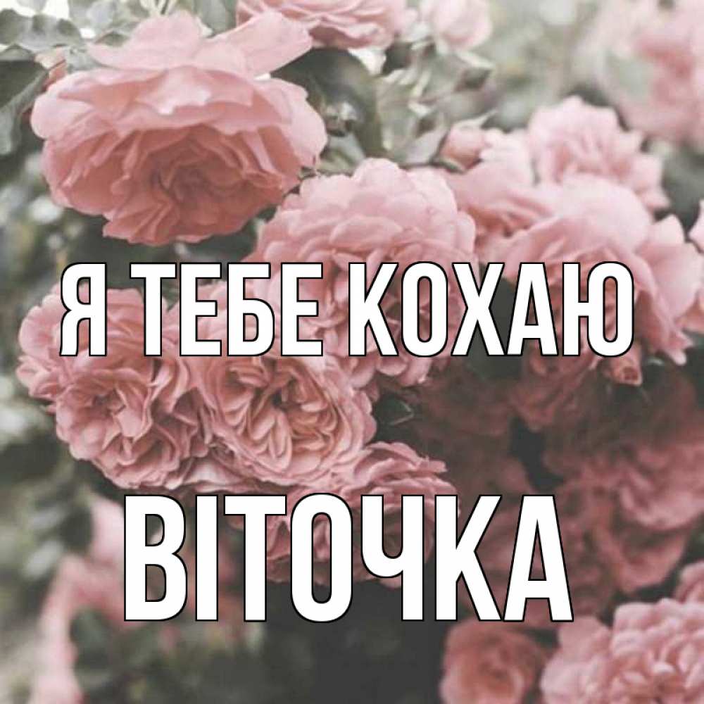 Открытка на каждый день з підписом, Віточка Я тебе кохаю розы 3 Прикольна листівка з побажанням онлайн скачати безкоштовно 