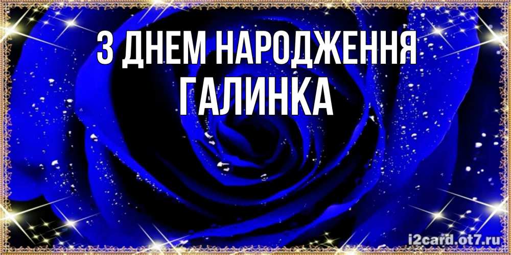Открытка на каждый день з підписом, Галинка З Днем народження голубые цветы в росе Прикольна листівка з побажанням онлайн скачати безкоштовно 