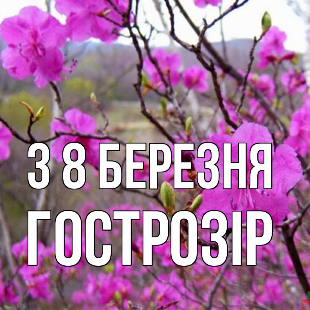 Открытка на каждый день з підписом, Гострозір З 8 БЕРЕЗНЯ международный женский день Прикольна листівка з побажанням онлайн скачати безкоштовно 