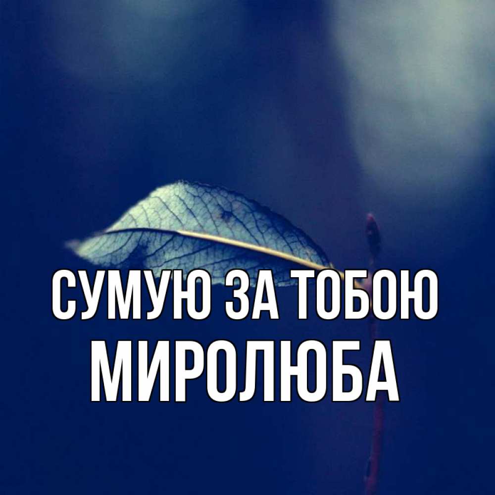 Открытка на каждый день з підписом, Миролюба Сумую за тобою одна ветка 1 Прикольна листівка з побажанням онлайн скачати безкоштовно 
