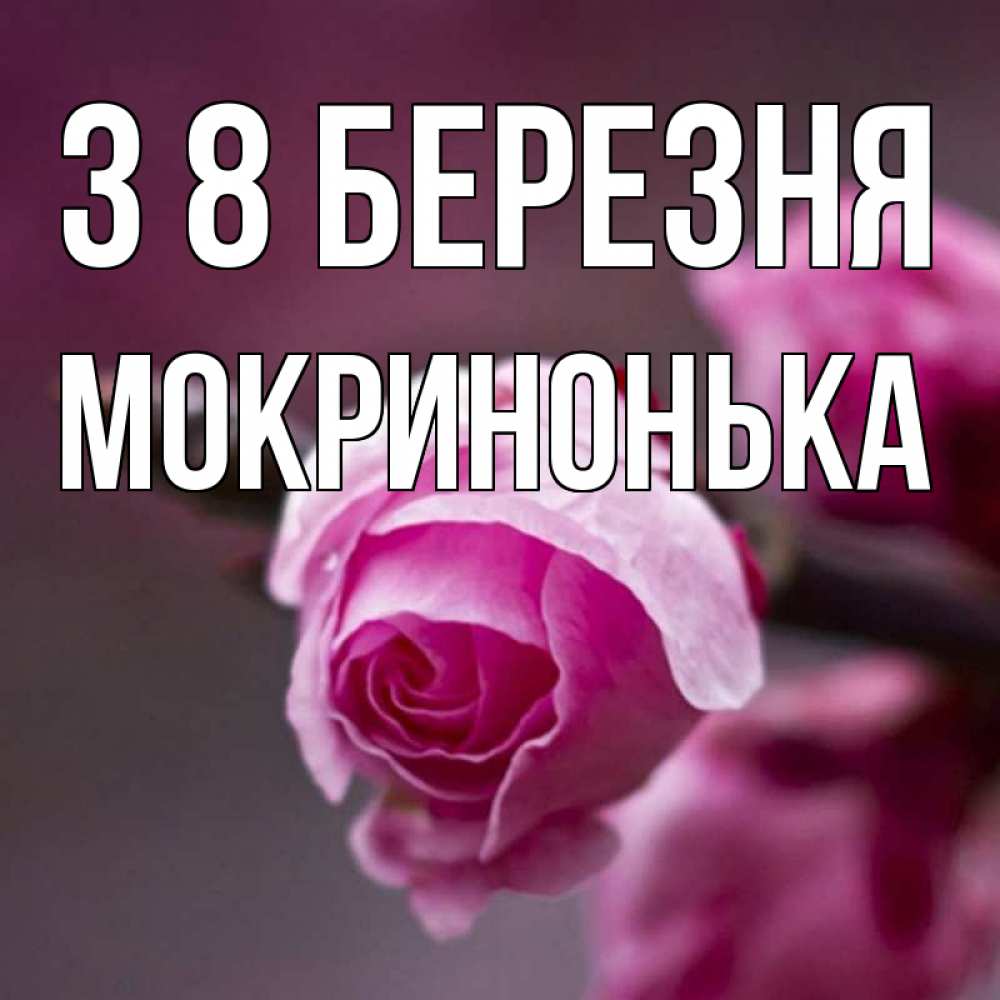 Открытка на каждый день з підписом, Мокринонька З 8 БЕРЕЗНЯ весна Прикольна листівка з побажанням онлайн скачати безкоштовно 