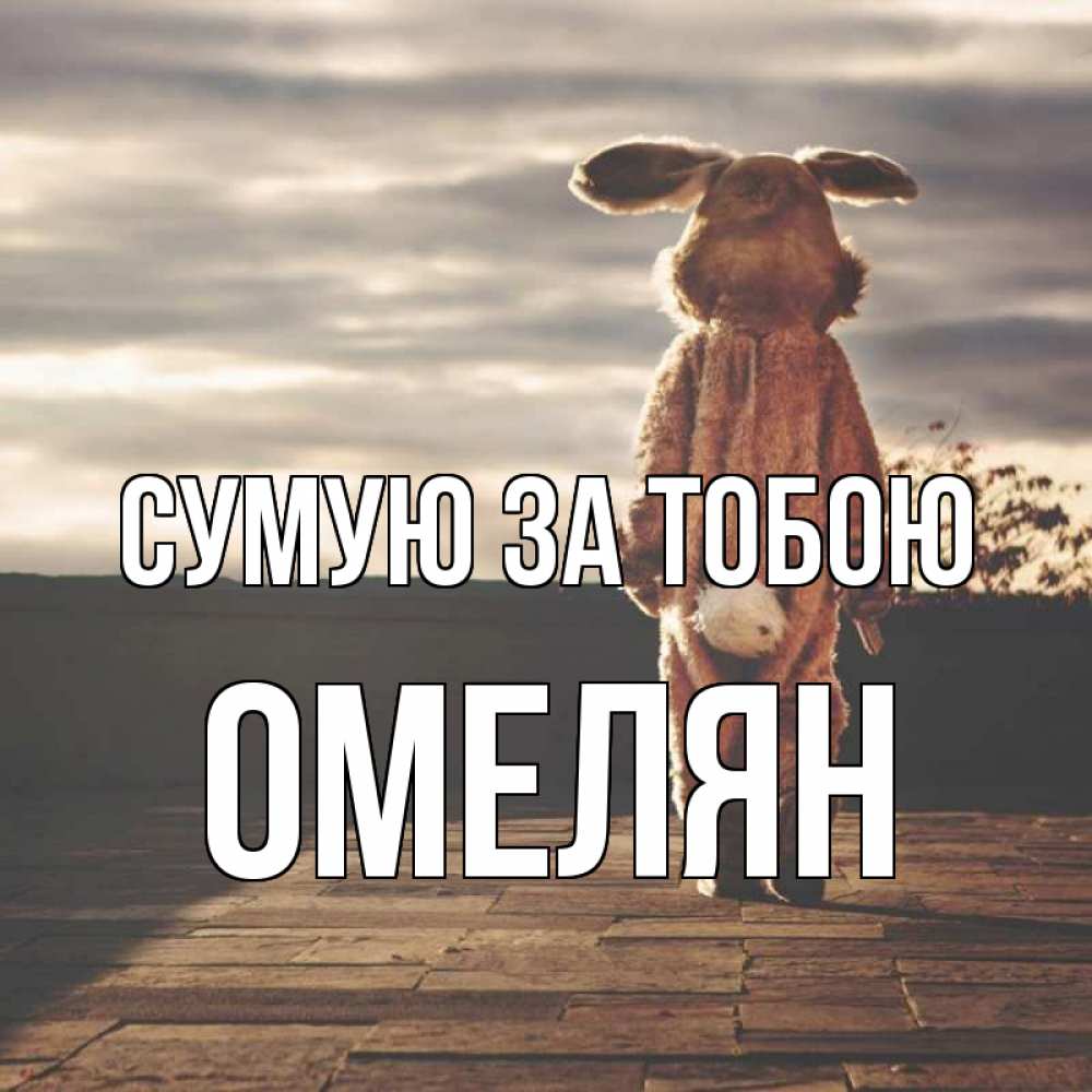 Открытка на каждый день з підписом, Омелян Сумую за тобою даже в костюме зайца Прикольна листівка з побажанням онлайн скачати безкоштовно 