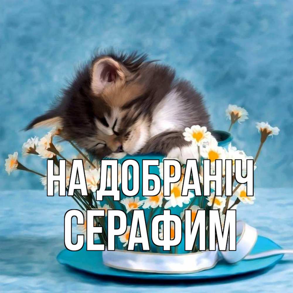 Открытка на каждый день з підписом, Серафим На добраніч котенок спит в кружке с блюдцем Прикольна листівка з побажанням онлайн скачати безкоштовно 