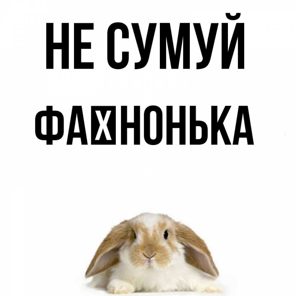 Открытка на каждый день з підписом, Фаїнонька Не сумуй коричнево белый заяц с большими ушками Прикольна листівка з побажанням онлайн скачати безкоштовно 