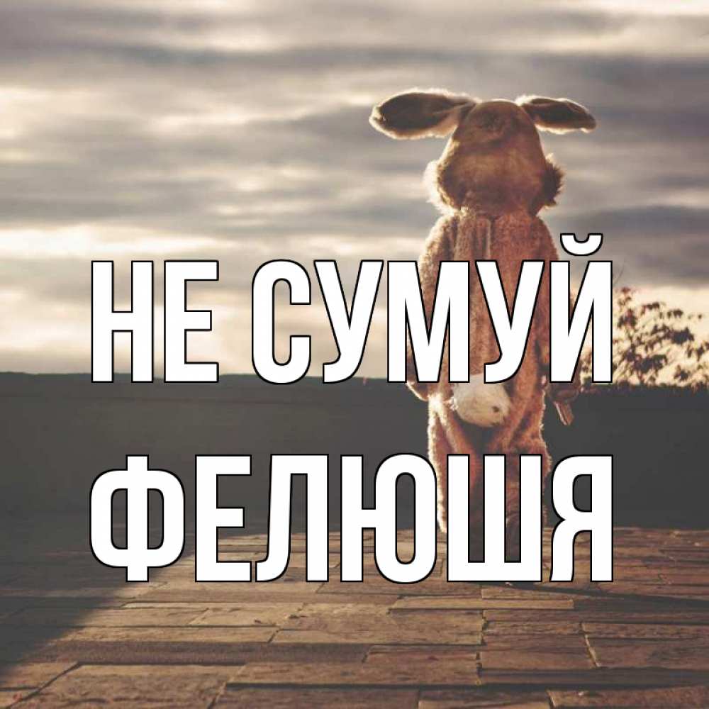 Открытка на каждый день з підписом, Фелюшя Не сумуй со спины Прикольна листівка з побажанням онлайн скачати безкоштовно 