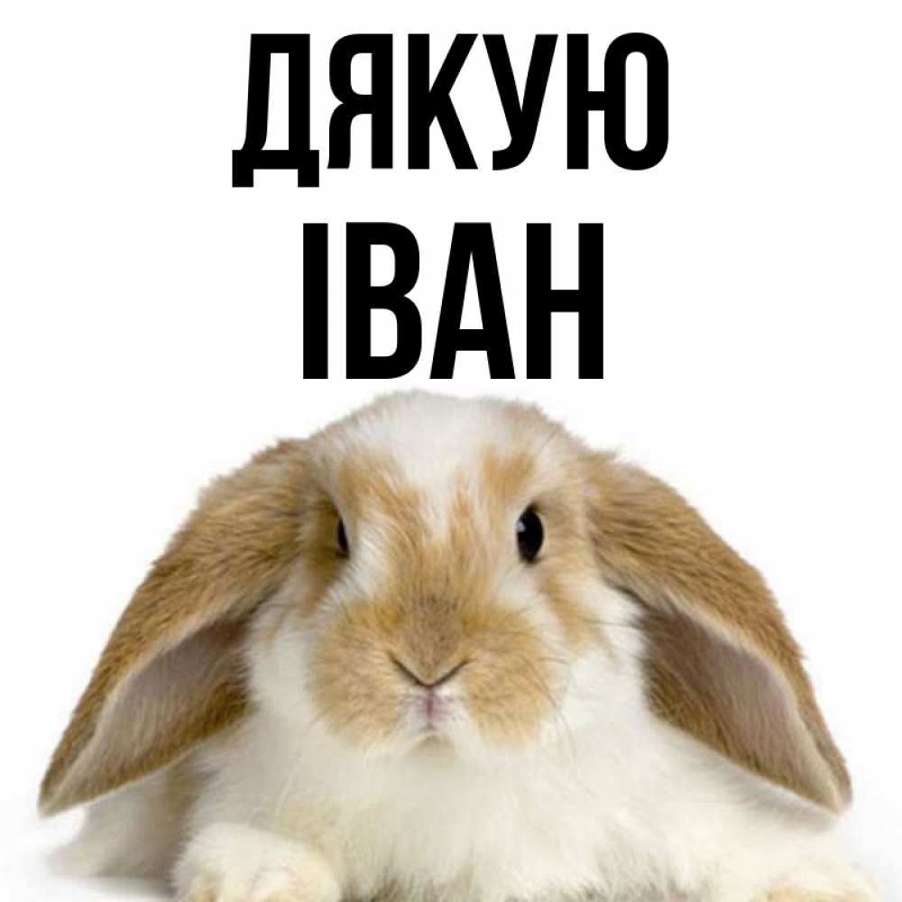 Открытка на каждый день з підписом, Іван Дякую коричнево белый заяц Прикольна листівка з побажанням онлайн скачати безкоштовно 